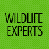 Experts in wildlife protection